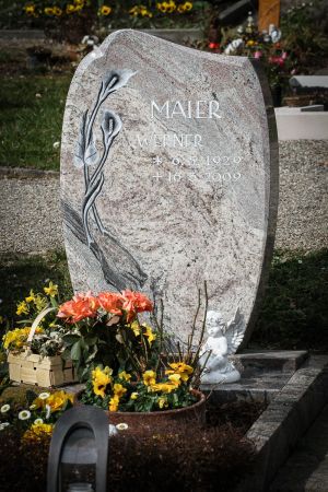 Maier W